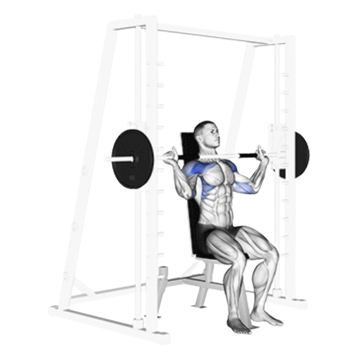 Smith Machine Shoulder Press Starting Motion